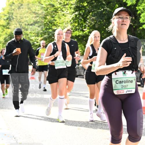 20.09.2026 - PSD Bank Halbmarathon Dr. Thomas Lammeyer http://msf.ph/oto/10506377 20.09.2026 11:03:07 Laufen 3445, 2687 meine-sportfotos.de