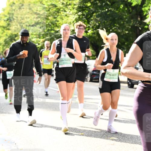 20.09.2026 - PSD Bank Halbmarathon Dr. Thomas Lammeyer http://msf.ph/oto/10506382 20.09.2026 11:03:07 Laufen 3445, 217, 2687 meine-sportfotos.de