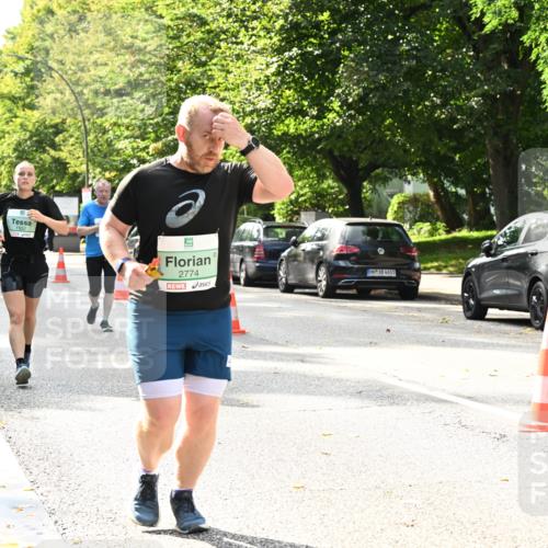20.09.2026 - PSD Bank Halbmarathon Dr. Thomas Lammeyer http://msf.ph/oto/10506430 20.09.2026 11:03:13 Laufen 2, 2774, 4683 meine-sportfotos.de