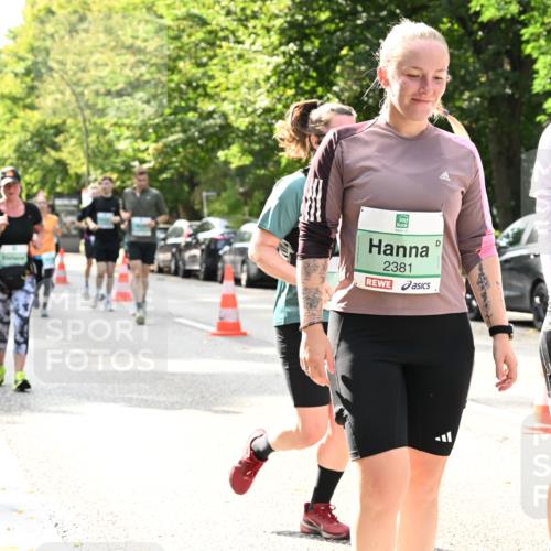 20.09.2026 - PSD Bank Halbmarathon Dr. Thomas Lammeyer http://msf.ph/oto/10506638 20.09.2026 11:03:33 Laufen 2381, 1061 meine-sportfotos.de