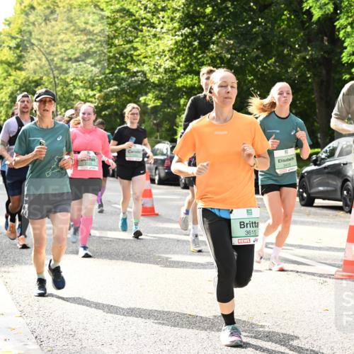 20.09.2026 - PSD Bank Halbmarathon Dr. Thomas Lammeyer http://msf.ph/oto/10506697 20.09.2026 11:03:38 Laufen 3615, 3415, 3787 meine-sportfotos.de