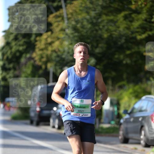 20.09.2026 - PSD Bank Halbmarathon Jannik Wohlers http://msf.ph/oto/10506785 20.09.2026 10:19:01 Laufen 4621 meine-sportfotos.de