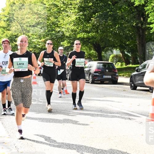 20.09.2026 - PSD Bank Halbmarathon Dr. Thomas Lammeyer http://msf.ph/oto/10506900 20.09.2026 11:03:48 Laufen 2402, 434, 2008, 4683 meine-sportfotos.de