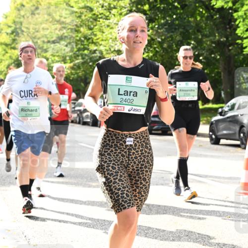 20.09.2026 - PSD Bank Halbmarathon Dr. Thomas Lammeyer http://msf.ph/oto/10506926 20.09.2026 11:03:49 Laufen 4346, 2139, 2402 meine-sportfotos.de