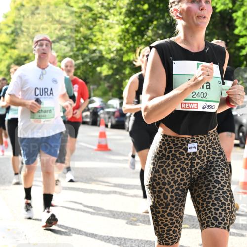 20.09.2026 - PSD Bank Halbmarathon Dr. Thomas Lammeyer http://msf.ph/oto/10506941 20.09.2026 11:03:50 Laufen 4346, 2402 meine-sportfotos.de