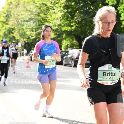 20.09.2026 - PSD Bank Halbmarathon Dr. Thomas Lammeyer http://msf.ph/oto/10507242 20.09.2026 11:04:01 Laufen 2430, 1934 meine-sportfotos.de