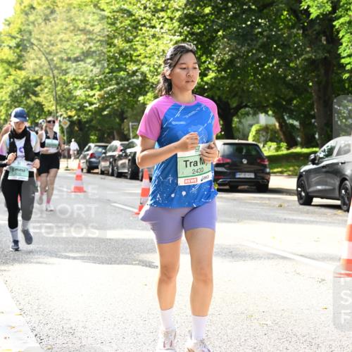 20.09.2026 - PSD Bank Halbmarathon Dr. Thomas Lammeyer http://msf.ph/oto/10507249 20.09.2026 11:04:01 Laufen 2430 meine-sportfotos.de
