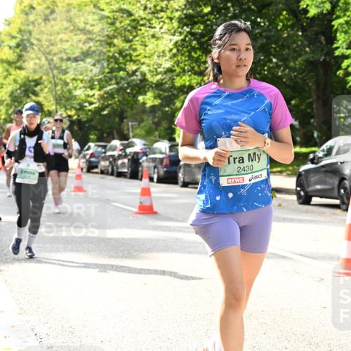20.09.2026 - PSD Bank Halbmarathon Dr. Thomas Lammeyer http://msf.ph/oto/10507262 20.09.2026 11:04:02 Laufen 2430 meine-sportfotos.de