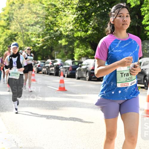 20.09.2026 - PSD Bank Halbmarathon Dr. Thomas Lammeyer http://msf.ph/oto/10507267 20.09.2026 11:04:02 Laufen 2430 meine-sportfotos.de