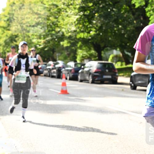 20.09.2026 - PSD Bank Halbmarathon Dr. Thomas Lammeyer http://msf.ph/oto/10507277 20.09.2026 11:04:02 Laufen 2430 meine-sportfotos.de