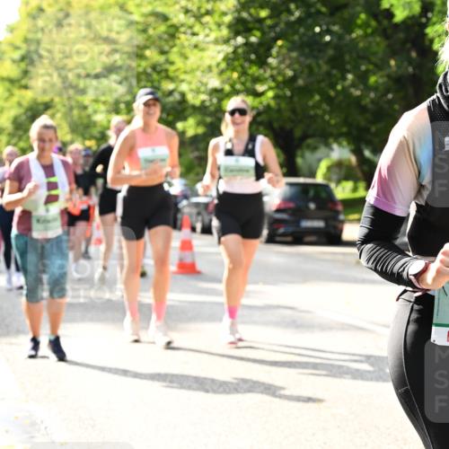 20.09.2026 - PSD Bank Halbmarathon Dr. Thomas Lammeyer http://msf.ph/oto/10507357 20.09.2026 11:04:05 Laufen 3225 meine-sportfotos.de