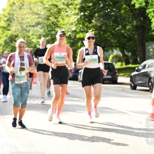 20.09.2026 - PSD Bank Halbmarathon Dr. Thomas Lammeyer http://msf.ph/oto/10507361 20.09.2026 11:04:06 Laufen  meine-sportfotos.de