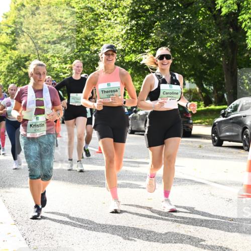 20.09.2026 - PSD Bank Halbmarathon Dr. Thomas Lammeyer http://msf.ph/oto/10507371 20.09.2026 11:04:06 Laufen 4367, 1919 meine-sportfotos.de
