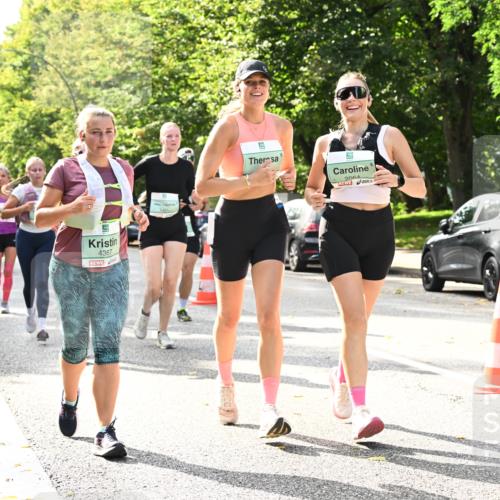 20.09.2026 - PSD Bank Halbmarathon Dr. Thomas Lammeyer http://msf.ph/oto/10507380 20.09.2026 11:04:06 Laufen 4367, 2064 meine-sportfotos.de