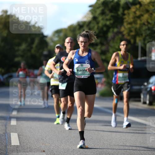 20.09.2026 - PSD Bank Halbmarathon Jannik Wohlers http://msf.ph/oto/10507403 20.09.2026 10:22:00 Laufen 3377 meine-sportfotos.de