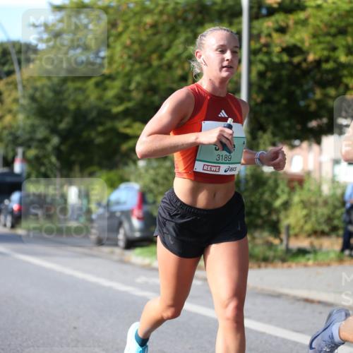 20.09.2026 - PSD Bank Halbmarathon Jannik Wohlers http://msf.ph/oto/10507409 20.09.2026 10:22:06 Laufen 33, 3189 meine-sportfotos.de
