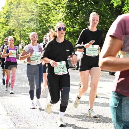 20.09.2026 - PSD Bank Halbmarathon Dr. Thomas Lammeyer http://msf.ph/oto/10507436 20.09.2026 11:04:08 Laufen 4642, 2206, 2423, 1481, 43 meine-sportfotos.de