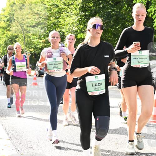 20.09.2026 - PSD Bank Halbmarathon Dr. Thomas Lammeyer http://msf.ph/oto/10507444 20.09.2026 11:04:09 Laufen 4642, 2206, 1481, 2423 meine-sportfotos.de