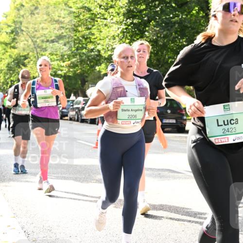 20.09.2026 - PSD Bank Halbmarathon Dr. Thomas Lammeyer http://msf.ph/oto/10507462 20.09.2026 11:04:09 Laufen 4642, 2206, 1481, 2423 meine-sportfotos.de