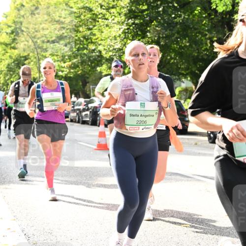 20.09.2026 - PSD Bank Halbmarathon Dr. Thomas Lammeyer http://msf.ph/oto/10507464 20.09.2026 11:04:09 Laufen 4642, 2206, 2423 meine-sportfotos.de
