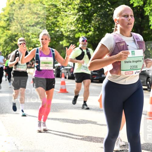 20.09.2026 - PSD Bank Halbmarathon Dr. Thomas Lammeyer http://msf.ph/oto/10507473 20.09.2026 11:04:10 Laufen 4642, 2206 meine-sportfotos.de