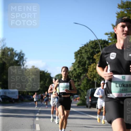 20.09.2026 - PSD Bank Halbmarathon Jannik Wohlers http://msf.ph/oto/10507756 20.09.2026 10:22:46 Laufen 3629, 2446 meine-sportfotos.de
