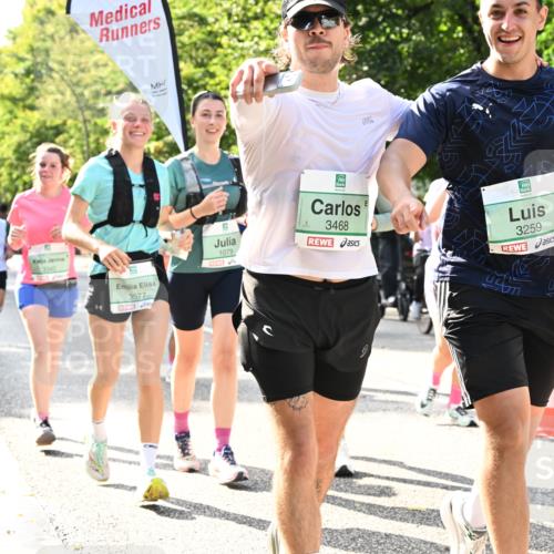 20.09.2026 - PSD Bank Halbmarathon Dr. Thomas Lammeyer http://msf.ph/oto/10507855 20.09.2026 11:04:24 Laufen 3342, 3577, 1079, 3468, 3259 meine-sportfotos.de