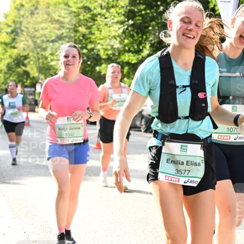 20.09.2026 - PSD Bank Halbmarathon Dr. Thomas Lammeyer http://msf.ph/oto/10507887 20.09.2026 11:04:26 Laufen 3342, 3577, 1079, 1 meine-sportfotos.de