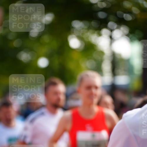 20.09.2026 - PSD Bank Halbmarathon LAZAROV Photography http://msf.ph/oto/10507918 20.09.2026 10:05:44 Laufen  meine-sportfotos.de
