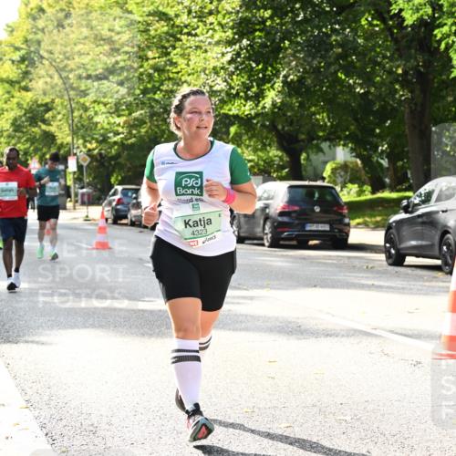 20.09.2026 - PSD Bank Halbmarathon Dr. Thomas Lammeyer http://msf.ph/oto/10507968 20.09.2026 11:04:28 Laufen 4323 meine-sportfotos.de