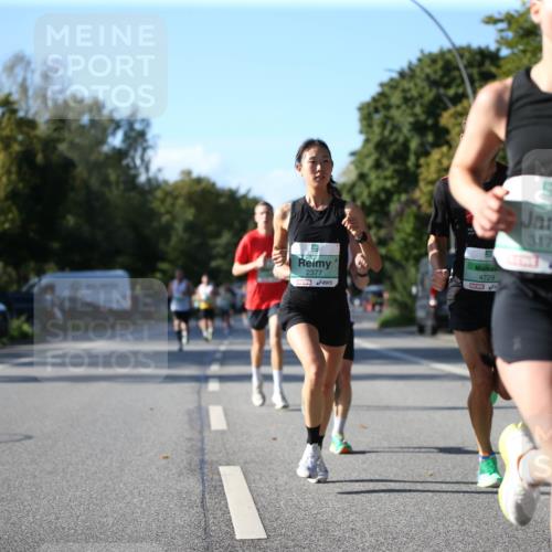 20.09.2026 - PSD Bank Halbmarathon Jannik Wohlers http://msf.ph/oto/10507969 20.09.2026 10:23:02 Laufen 21, 2377, 4729, 3177 meine-sportfotos.de