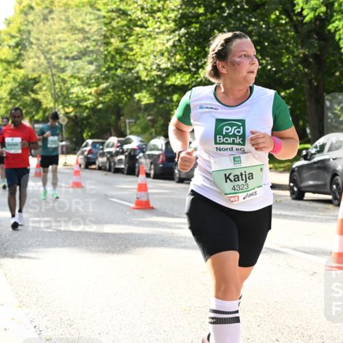20.09.2026 - PSD Bank Halbmarathon Dr. Thomas Lammeyer http://msf.ph/oto/10507989 20.09.2026 11:04:29 Laufen 4323 meine-sportfotos.de