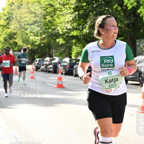 20.09.2026 - PSD Bank Halbmarathon Dr. Thomas Lammeyer http://msf.ph/oto/10507996 20.09.2026 11:04:29 Laufen 4323 meine-sportfotos.de