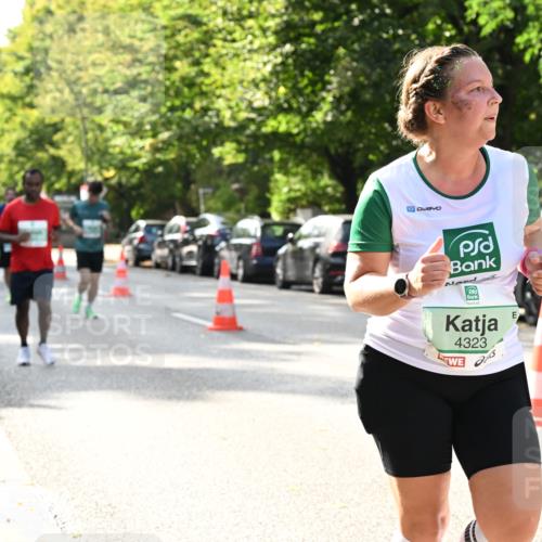 20.09.2026 - PSD Bank Halbmarathon Dr. Thomas Lammeyer http://msf.ph/oto/10507999 20.09.2026 11:04:29 Laufen 4323 meine-sportfotos.de