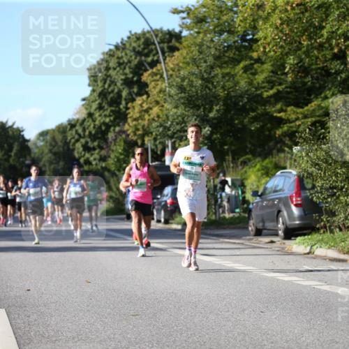 20.09.2026 - PSD Bank Halbmarathon Jannik Wohlers http://msf.ph/oto/10508205 20.09.2026 10:23:27 Laufen 11 meine-sportfotos.de