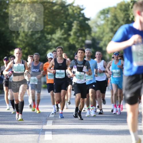 20.09.2026 - PSD Bank Halbmarathon Jannik Wohlers http://msf.ph/oto/10508224 20.09.2026 10:23:30 Laufen 2, 4783, 1679, 01, 30 meine-sportfotos.de