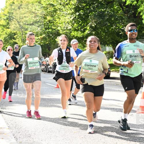 20.09.2026 - PSD Bank Halbmarathon Dr. Thomas Lammeyer http://msf.ph/oto/10508295 20.09.2026 11:04:41 Laufen 1743, 3349, 2939, 2864, 2426 meine-sportfotos.de