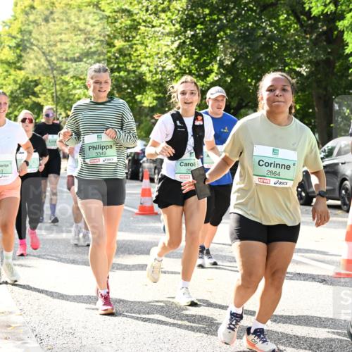 20.09.2026 - PSD Bank Halbmarathon Dr. Thomas Lammeyer http://msf.ph/oto/10508311 20.09.2026 11:04:41 Laufen 1743, 3349, 29, 2864 meine-sportfotos.de