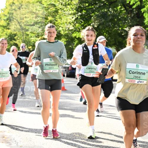 20.09.2026 - PSD Bank Halbmarathon Dr. Thomas Lammeyer http://msf.ph/oto/10508315 20.09.2026 11:04:41 Laufen 1743, 3349, 2939, 2864 meine-sportfotos.de