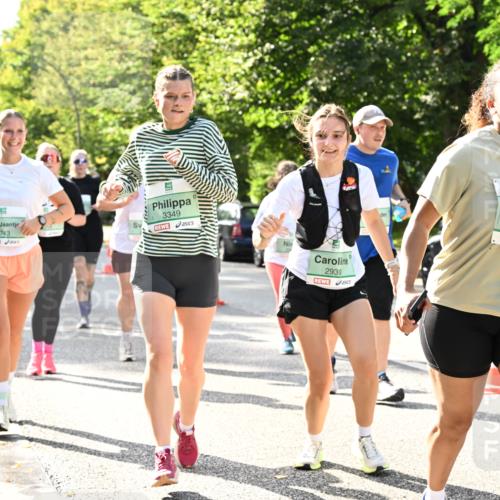 20.09.2026 - PSD Bank Halbmarathon Dr. Thomas Lammeyer http://msf.ph/oto/10508319 20.09.2026 11:04:41 Laufen 1743, 3349, 2939, 2864 meine-sportfotos.de