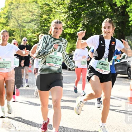 20.09.2026 - PSD Bank Halbmarathon Dr. Thomas Lammeyer http://msf.ph/oto/10508326 20.09.2026 11:04:42 Laufen 1743, 3349, 2939, 286 meine-sportfotos.de