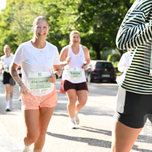 20.09.2026 - PSD Bank Halbmarathon Dr. Thomas Lammeyer http://msf.ph/oto/10508346 20.09.2026 11:04:43 Laufen 1743, 3349 meine-sportfotos.de