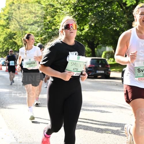 20.09.2026 - PSD Bank Halbmarathon Dr. Thomas Lammeyer http://msf.ph/oto/10508387 20.09.2026 11:04:44 Laufen 2598, 4758, 3646 meine-sportfotos.de
