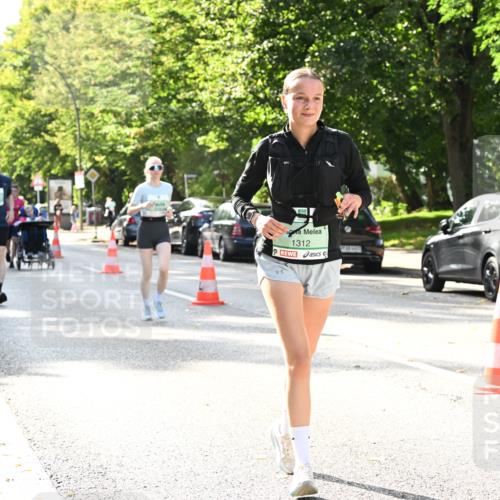 20.09.2026 - PSD Bank Halbmarathon Dr. Thomas Lammeyer http://msf.ph/oto/10508692 20.09.2026 11:05:03 Laufen 1312 meine-sportfotos.de
