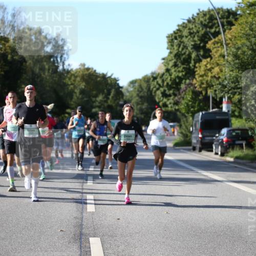 20.09.2026 - PSD Bank Halbmarathon Jannik Wohlers http://msf.ph/oto/10509036 20.09.2026 10:25:10 Laufen 2482 meine-sportfotos.de