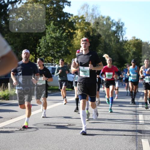 20.09.2026 - PSD Bank Halbmarathon Jannik Wohlers http://msf.ph/oto/10509059 20.09.2026 10:25:11 Laufen 4461, 2550, 1353 meine-sportfotos.de