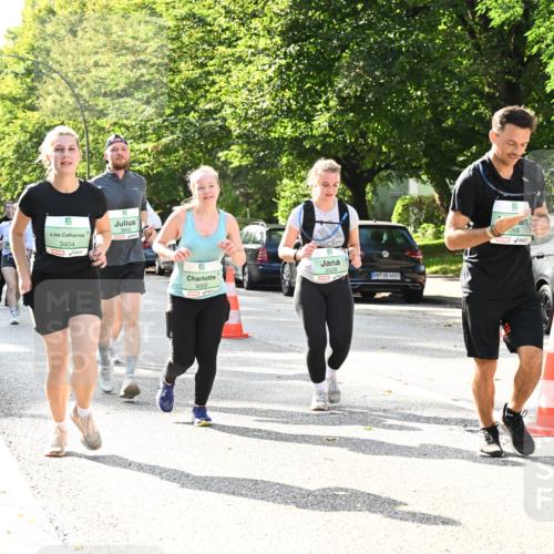 20.09.2026 - PSD Bank Halbmarathon Dr. Thomas Lammeyer http://msf.ph/oto/10509063 20.09.2026 11:05:20 Laufen 3404, 3802, 3002, 3528, 4683, 1268 meine-sportfotos.de