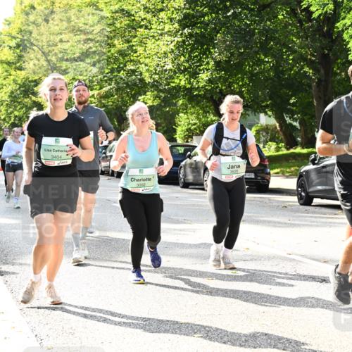 20.09.2026 - PSD Bank Halbmarathon Dr. Thomas Lammeyer http://msf.ph/oto/10509067 20.09.2026 11:05:20 Laufen 3404, 3002, 3528, 84683, 260 meine-sportfotos.de