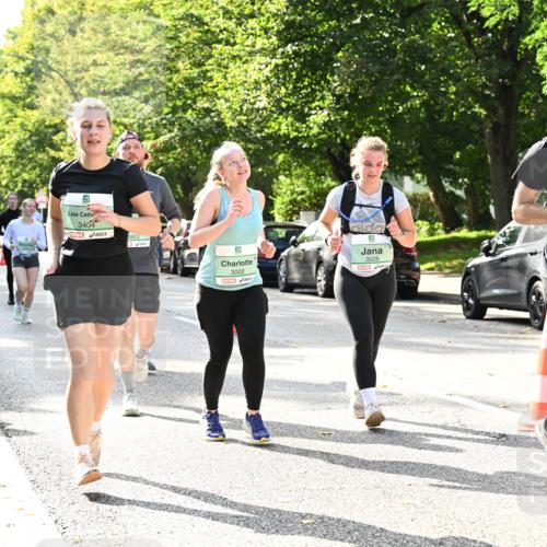 20.09.2026 - PSD Bank Halbmarathon Dr. Thomas Lammeyer http://msf.ph/oto/10509072 20.09.2026 11:05:20 Laufen 3404, 3802, 5, 3002, 3528 meine-sportfotos.de