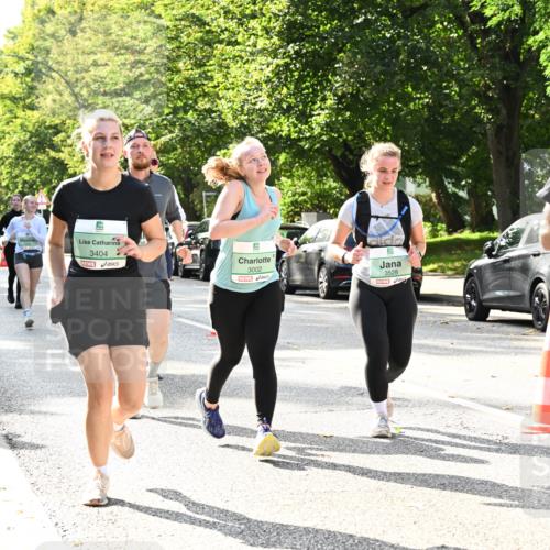 20.09.2026 - PSD Bank Halbmarathon Dr. Thomas Lammeyer http://msf.ph/oto/10509076 20.09.2026 11:05:21 Laufen 3404, 3002, 3528 meine-sportfotos.de